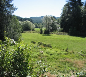 east over pasture and to the hills